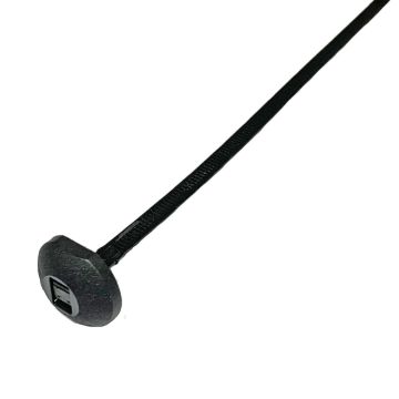 XTYBT100L.jpg