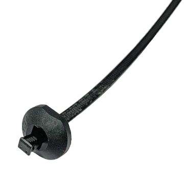 XTYBT100