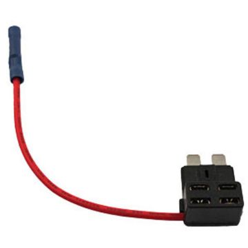 ACFRP10