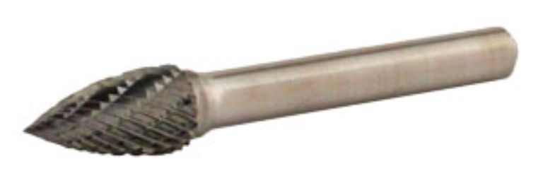 CBSG3