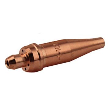 CT11101