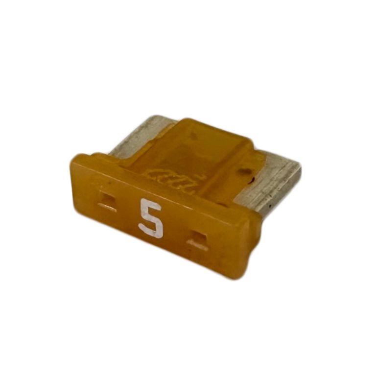 XLMIN5