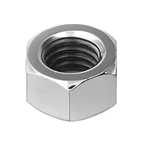 Picture for category Nuts