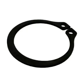 Picture for category Retaining Rings