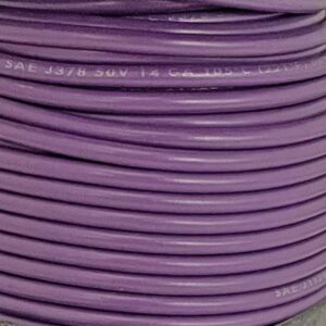 PRIMARY WIRE GPT 11