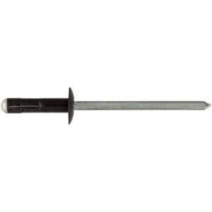 AUVECO RIVETS  50/BX